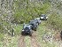 On the trail